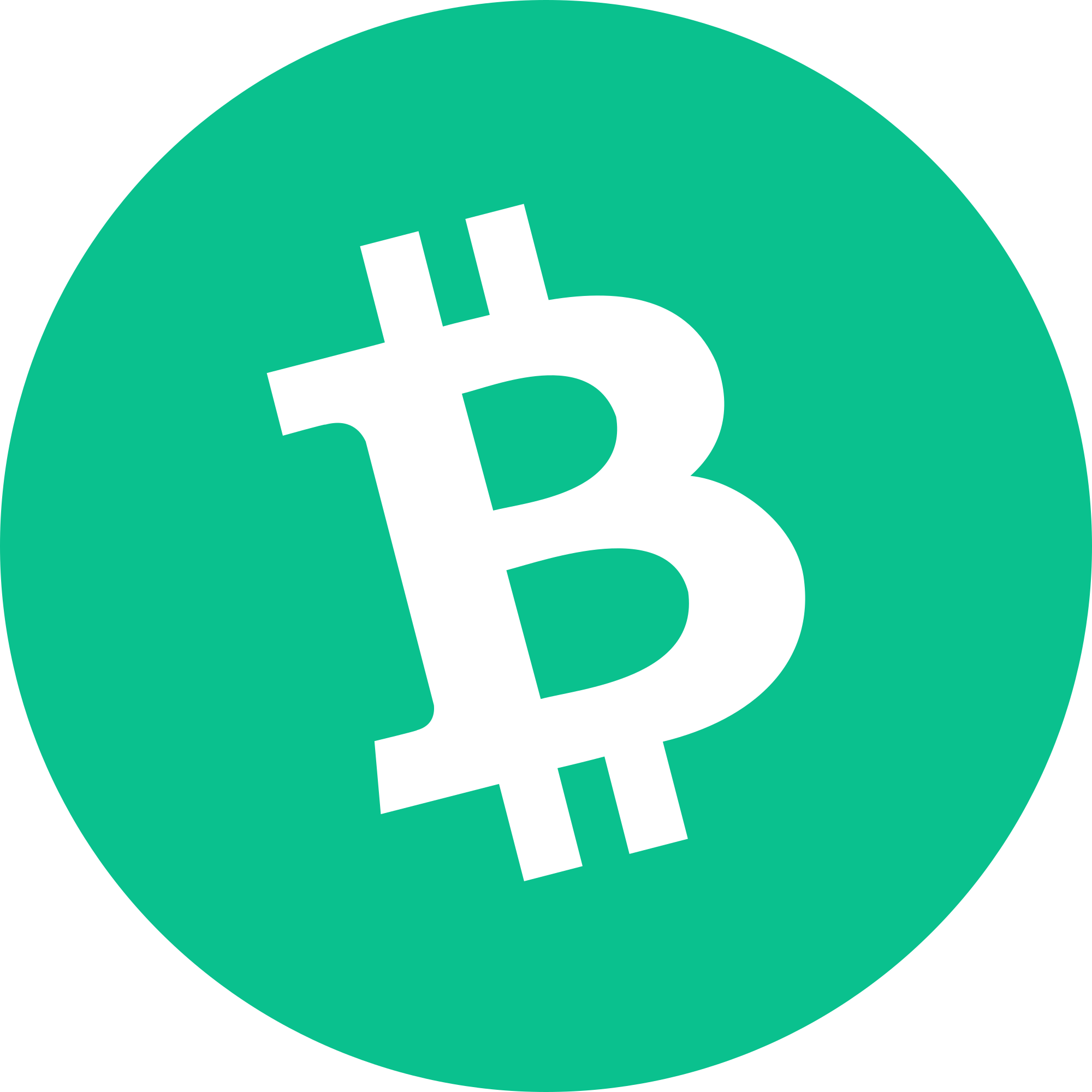 bitcoin-cash-bch-logo.png